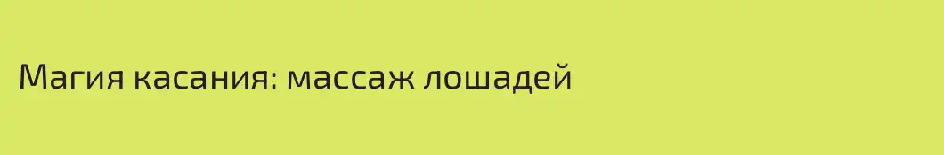 Магия касания: массаж лошадей 